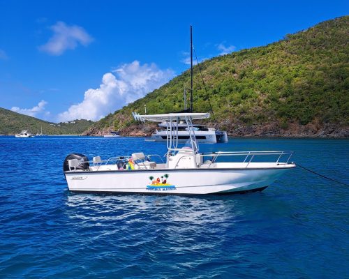 WhatsApp Image 2025-08-11 at 8.56.59 PM-5