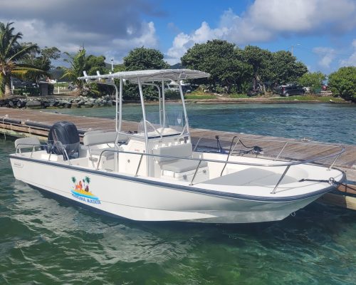 WhatsApp Image 2025-08-11 at 8.56.59 PM